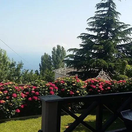 Rinoula's Traditional Daire